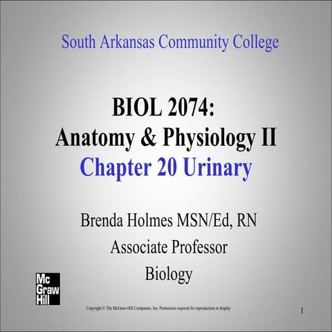 Chapt20 urinary