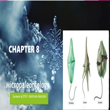 chapt 8 Dinoflagellates -.pptx