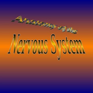 Chapter 04: Anatomy of the Nervous ...