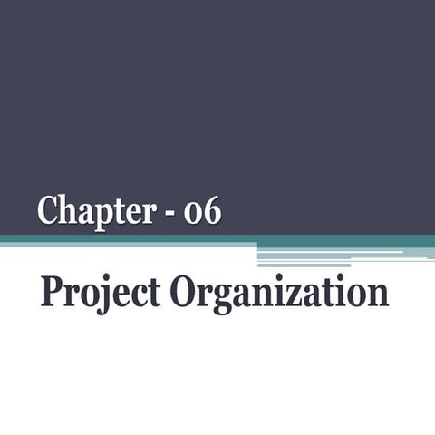 Chapter - 06 Project Organization.pptx