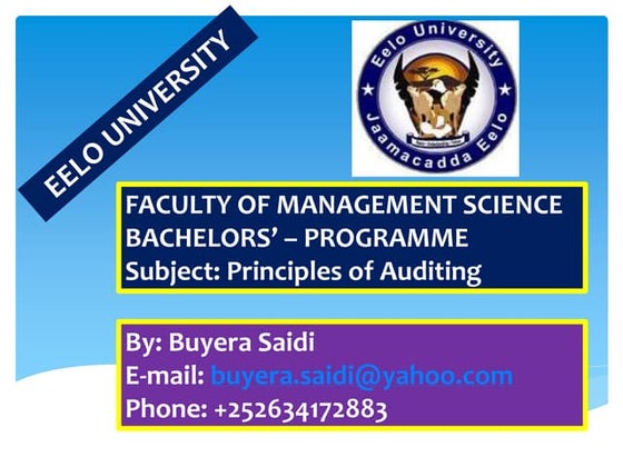 AUDIT REPORT [ AUDITING ] | PPT