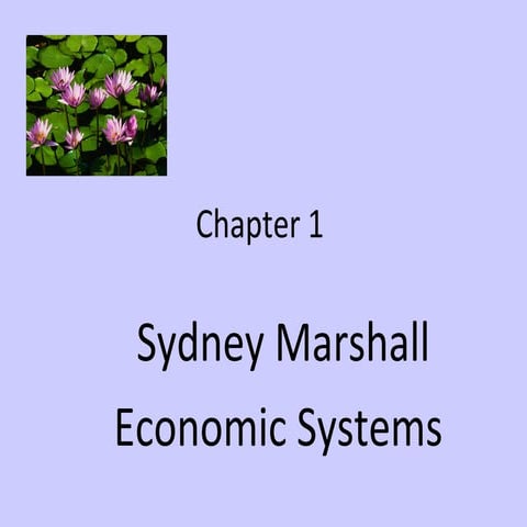 Chapter 1 Slide Show