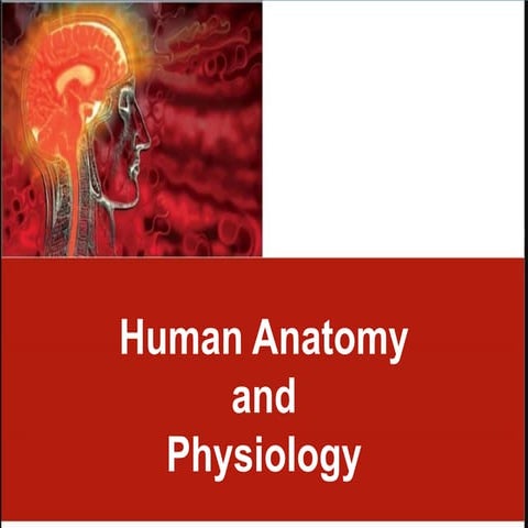 CHAPTER-1-The-Human-Body-An-Orientation.pdf