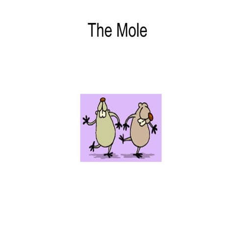 Chapter 10 The Mole