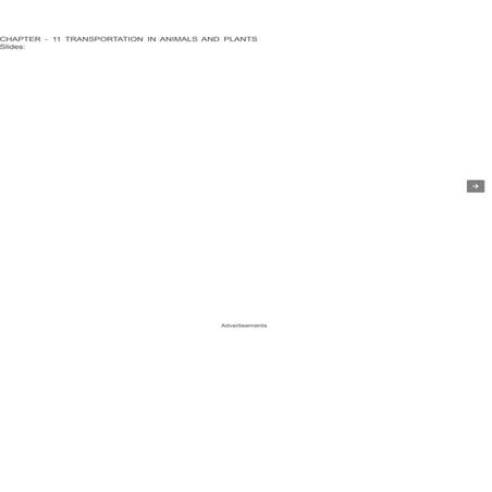 CHAPTER-11-TRANSPORTATION-IN-ANIMALS-AND-PLANTS-ppt-download.pptx