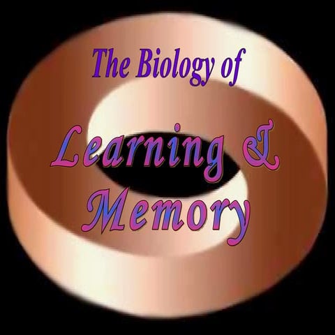 Chapter 13: The Biology of Learning & Memory