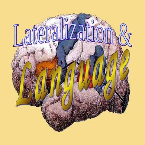 Split brain Phenomenon | PPT