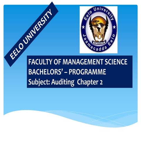 Chapter   2 -audit programme