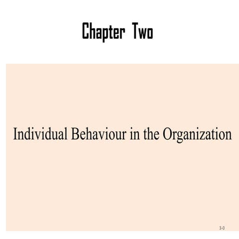 Chapter-2-Individual-Behavior (3).pdf1244fhd