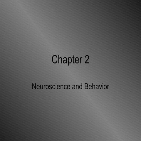 Chapter 2 Lecture Disco 4e