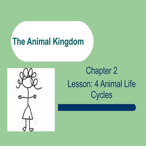 Chapter 2 Lesson 4 Life Cycles