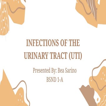 CHAPTER- 20-URINARY-TRACT-INFECTION.pptx