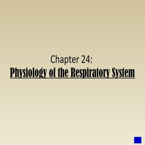 Respiratory #1, Pulmonary Ventilation - Physiology