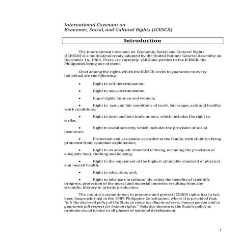 Chapter 3: ICESCR Chapter 