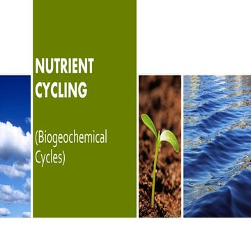 Chapter-3-Nutrient-Cycling_092120.pdf