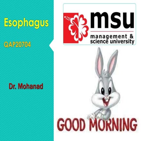 Chapter 3-pharynx +esophagus