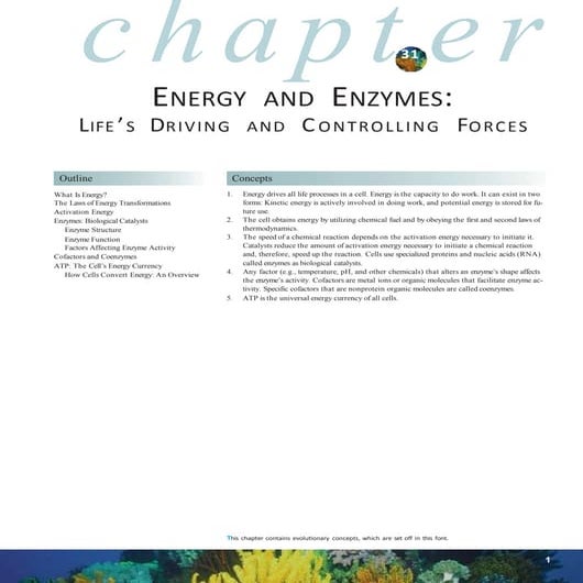Chapter 31energyandenzymesmcgrawhillhighereducation, from Millar