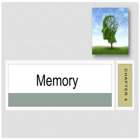 Chapter 4 Psych 1 Online Stud