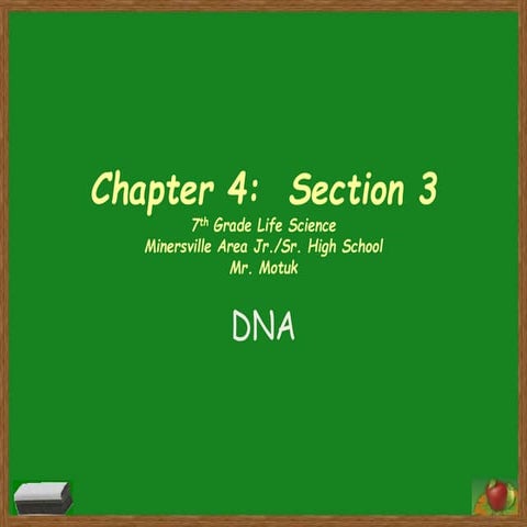 Chapter 4 section 3 (dna)