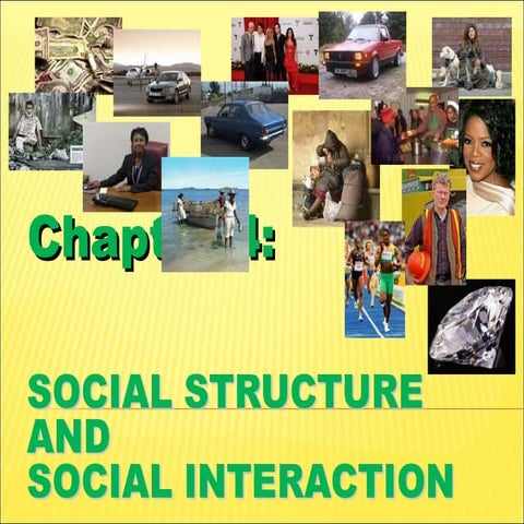 Chapter 4  Social  Structure &amp;  Social  Interaction