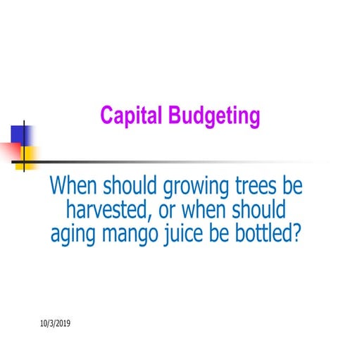 Capital budgeting