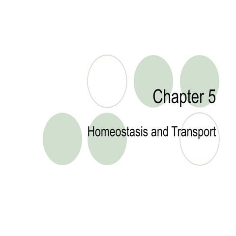 Chapter 5 | PPT