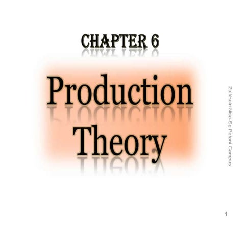 C H A P T E R 6  M I C R O  P R O D U C T I O N  T H E O R Y
