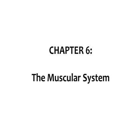 chapter-6-muscular (2) ANATOMY AND PHYSIOLOGY.pdf