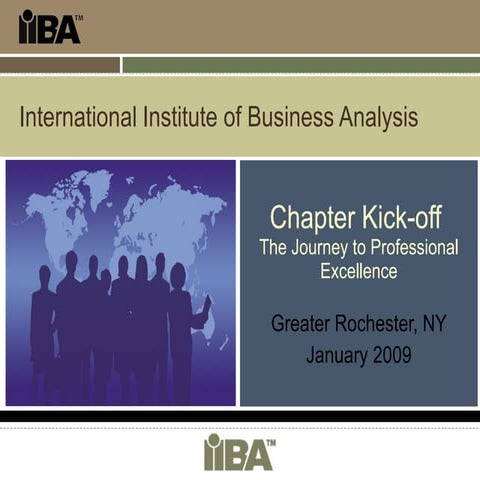 IIBA Rochester NY Chapter Kickoff - Jan 2009
