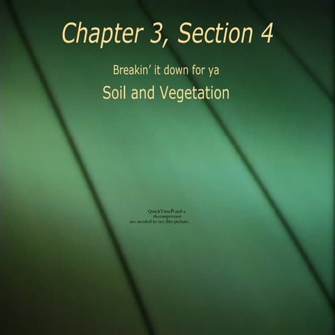Geo: Chapter Three, Section Four