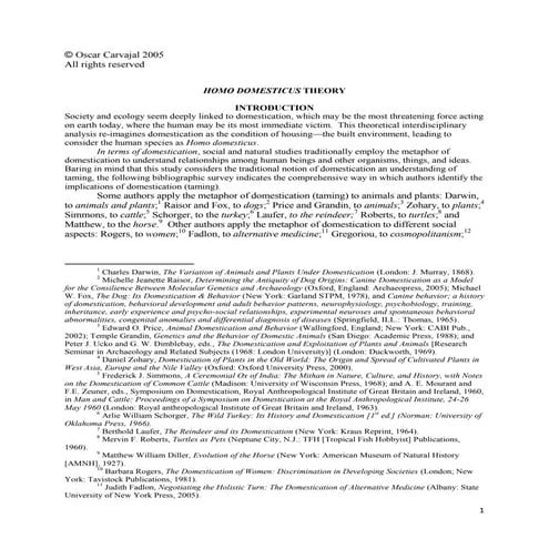HOMO DOMESTICUS: Theory