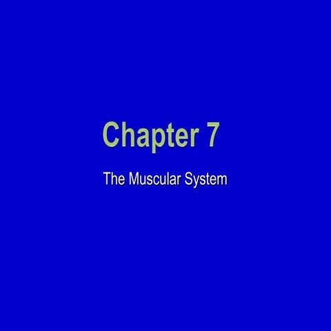 7. The Muscular System | PPT