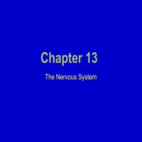 13. The Nervous System