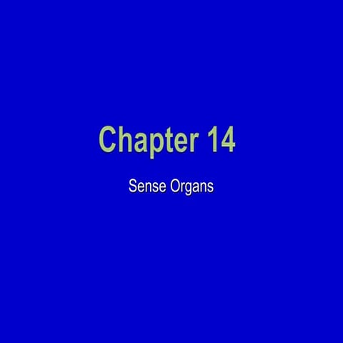 14. Sense Organs