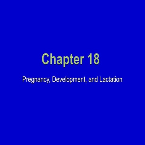 18. Pregnancy, Development, and Lactation