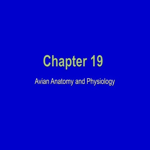 19. Avian Anatomy and Physiology