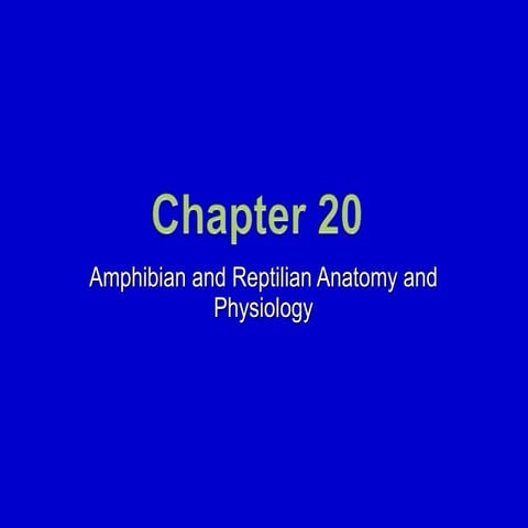 20. Amphibian and Reptilian Anatomy and Physiology