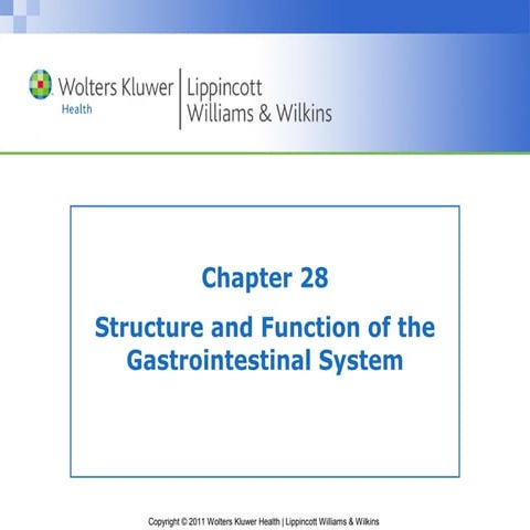 Chapter028 | PPT