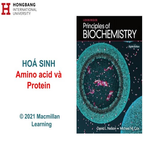 Chapter 04 - 3D Structure of Proteins.pptx