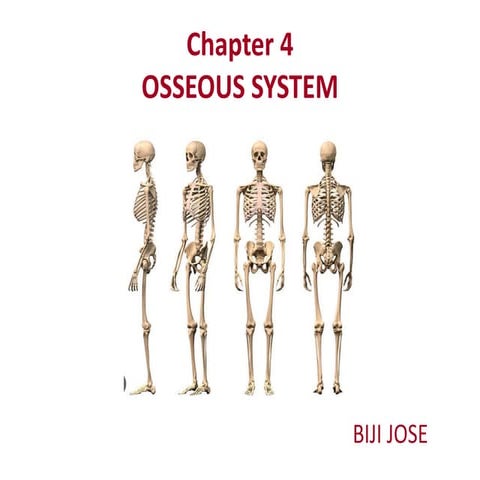 Chapter 04 - Osseous Systefsdm - Copy.pdf