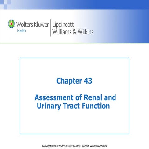 ASSESSMENT OF RENAL AND URINARY TRACT INFECTION