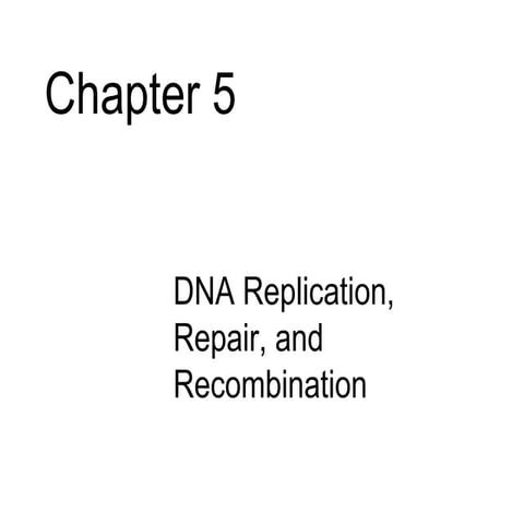 Chapter05 | PPT