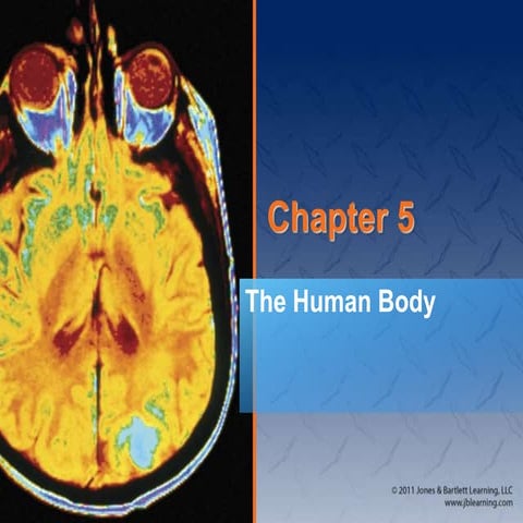 Chapter_05 Human and Nervous Systema.ppt