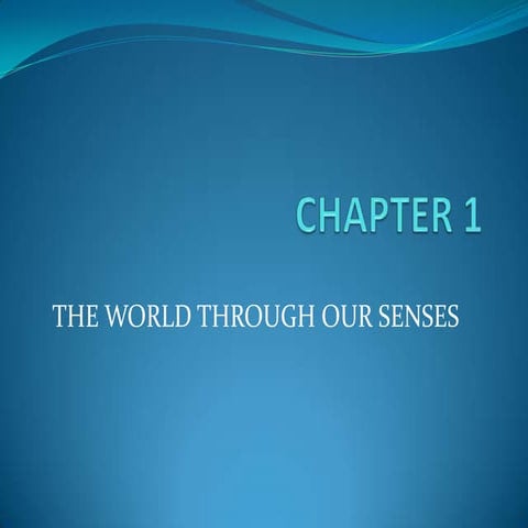 Chapter 1 | PPT