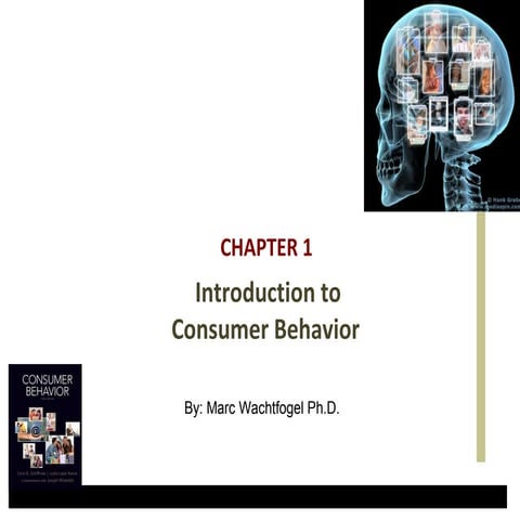 Introduction to Consumer Behavior (Updated)