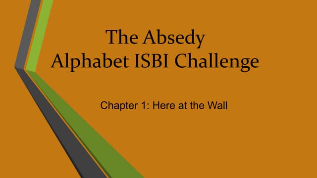 The Absedy Alphabet ISBI Challenge-Chapter 1