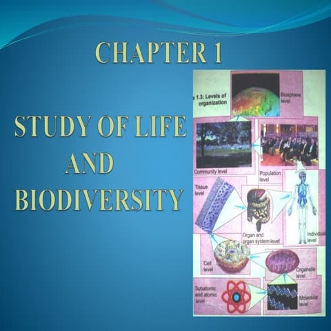 9TH Class Biology complete slides 