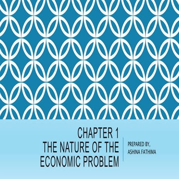 The nature of the economic problem