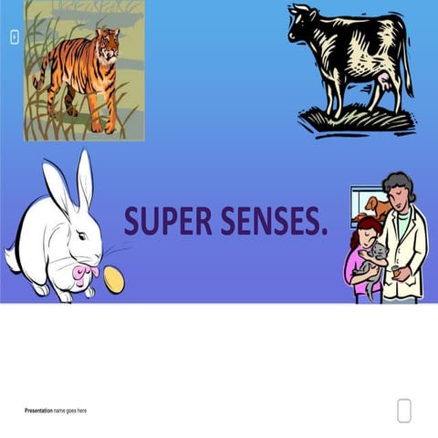 Class 5 Chapter 1- super senses (EVS)