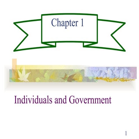 Chapter 1 Individuals and Government Public Finance